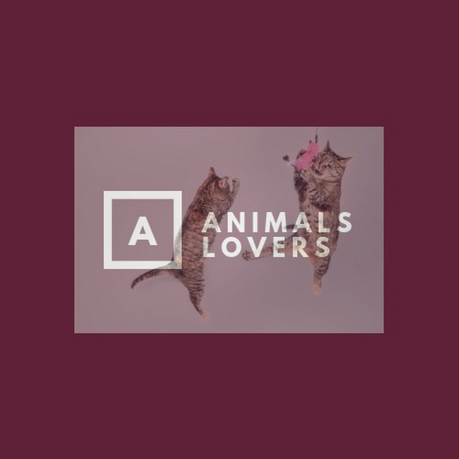 Animals lovers Аватар канала YouTube