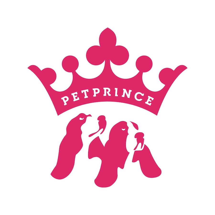 PET PRINCE Avatar canale YouTube 