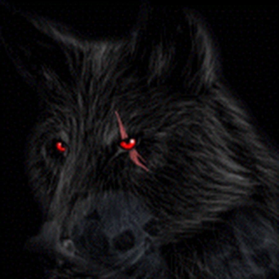 Shadow wolf91 YouTube 频道头像