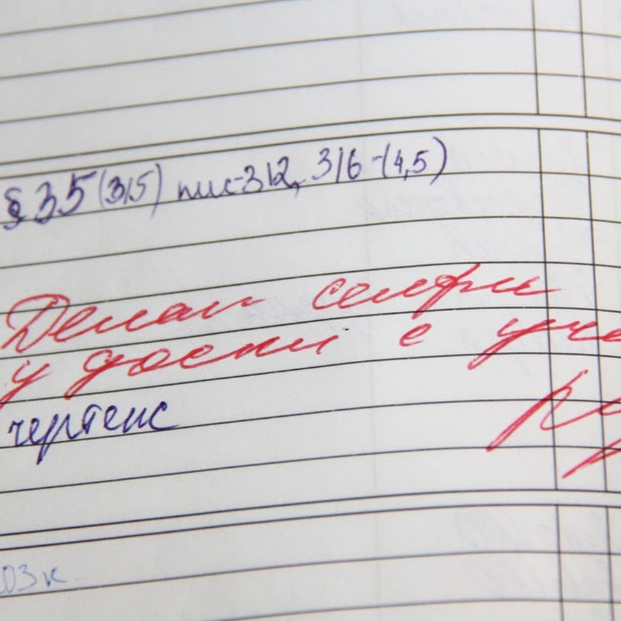 Замечание в дневник за плохое поведение образец