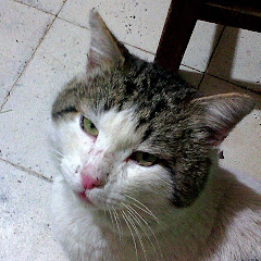 Thumbnail of related channel