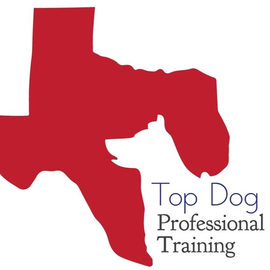 Top Dog Professional Training Avatar del canal de YouTube