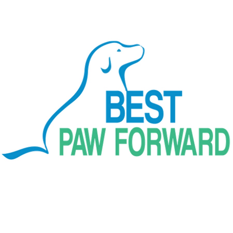 Best Paw Forward Inc YouTube channel avatar