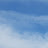 콩보리