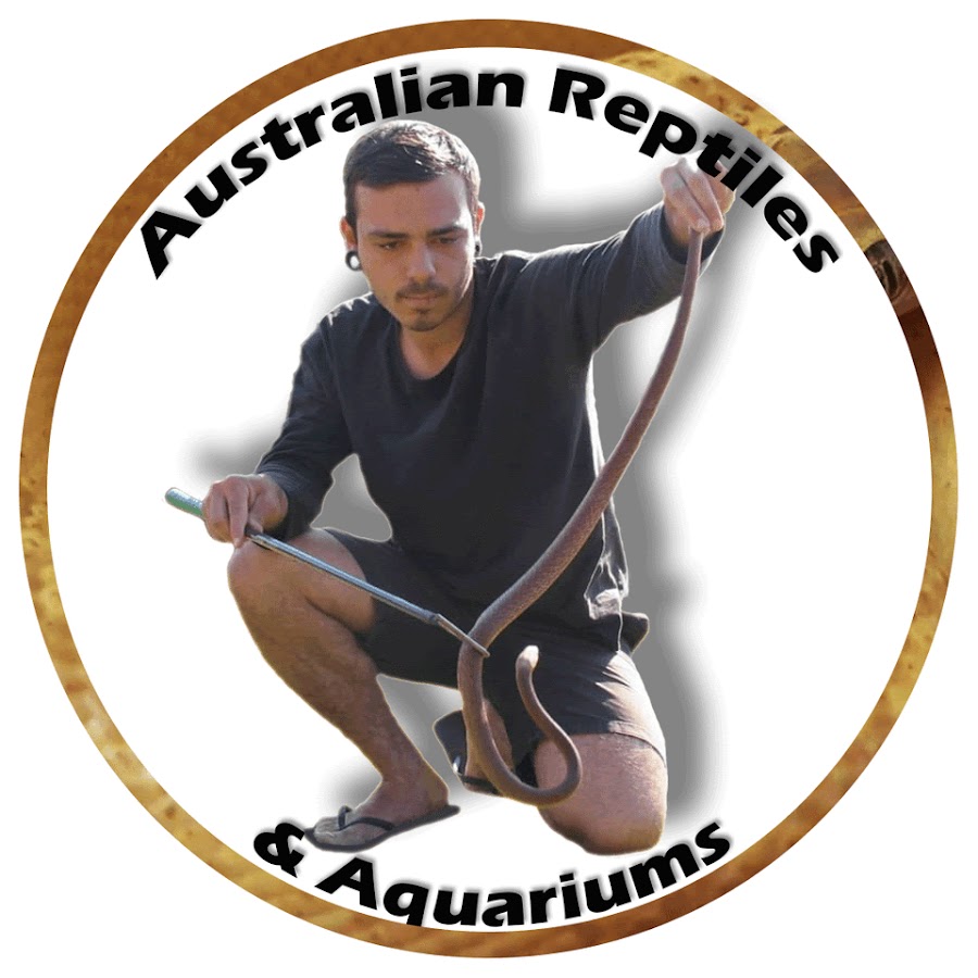 Australian Pythons And Other Reptiles YouTube channel avatar