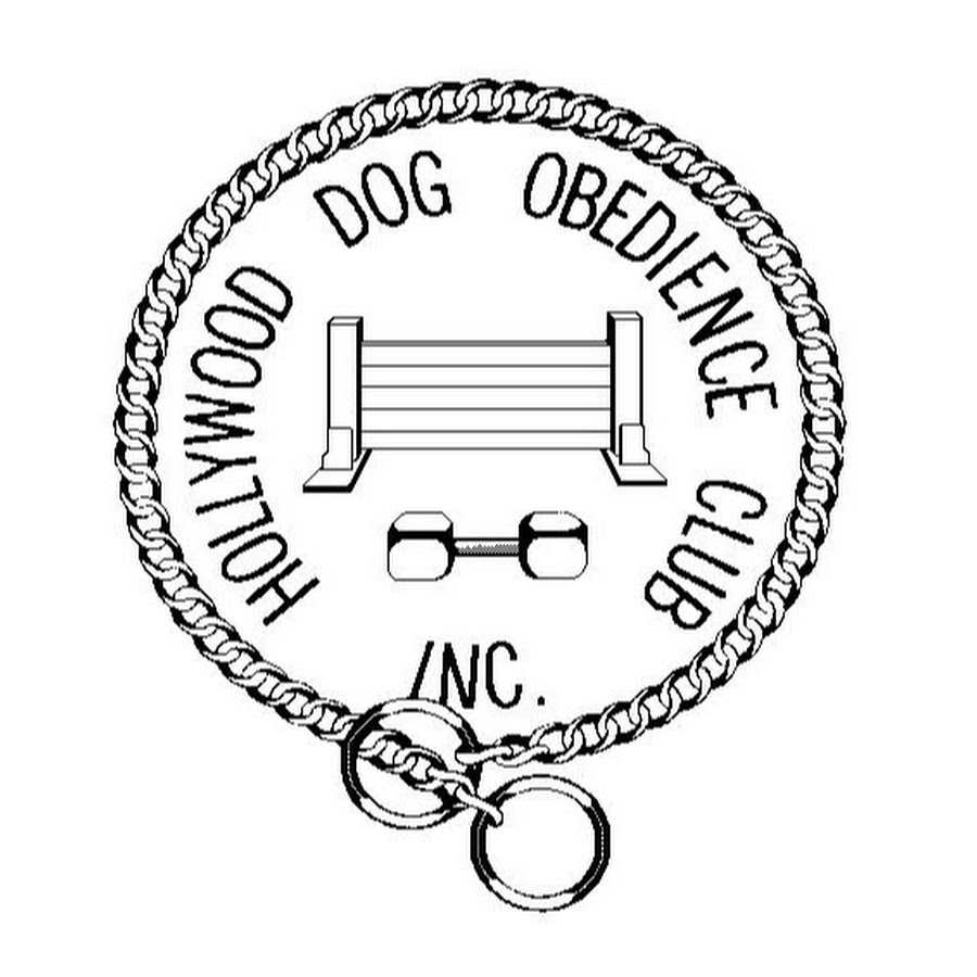 Hollywood Dog Obedience Club YouTube 频道头像