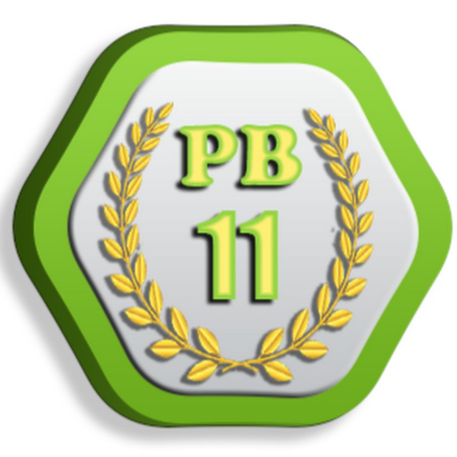 PB11 Clips