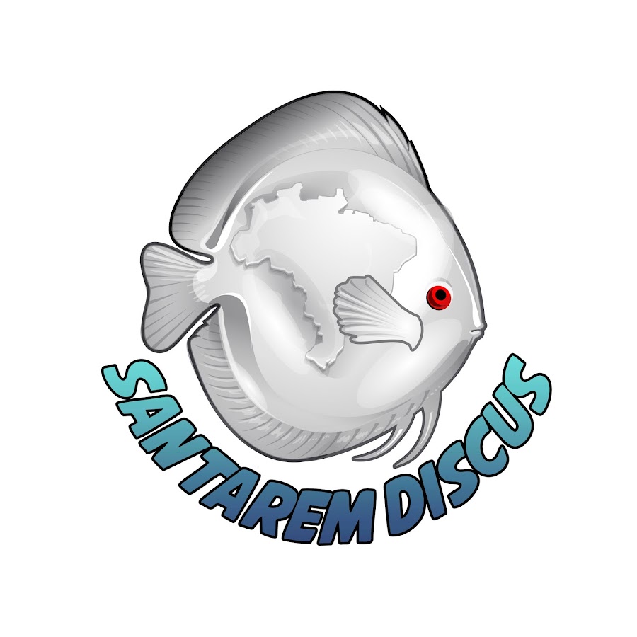 Santarem Discus Ltda رمز قناة اليوتيوب