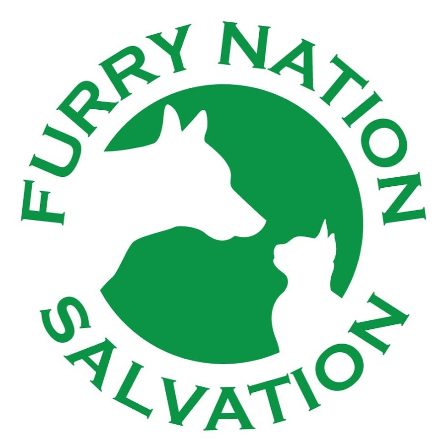 FURRY NATION SALVATION Avatar del canal de YouTube