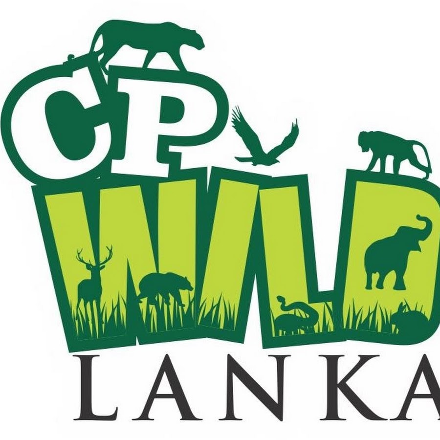 cp wild Lanka Awatar kanału YouTube