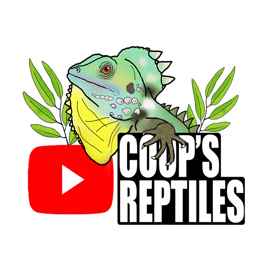 Coop's Reptiles Avatar canale YouTube 