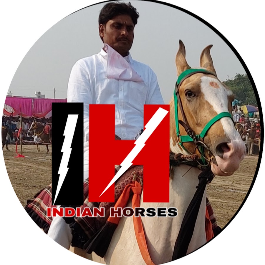 INDIAN HORSES यूट्यूब चैनल अवतार