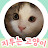지투는 고양이 G2 The Cat
