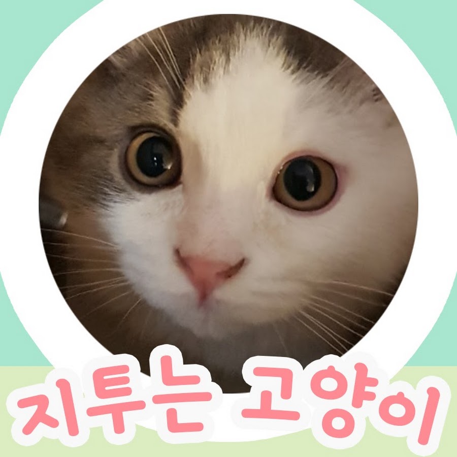 ì§€íˆ¬ëŠ” ê³ ì–‘ì´ G2 The Cat YouTube channel avatar