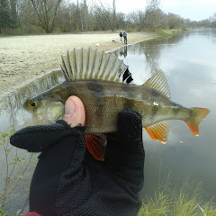 Spinning nad Pilicą