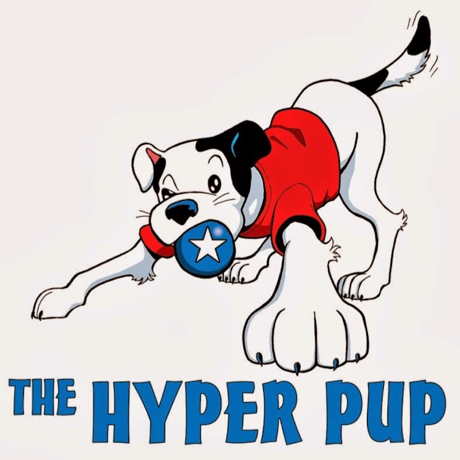 The Hyper Pup Dog Training YouTube channel avatar