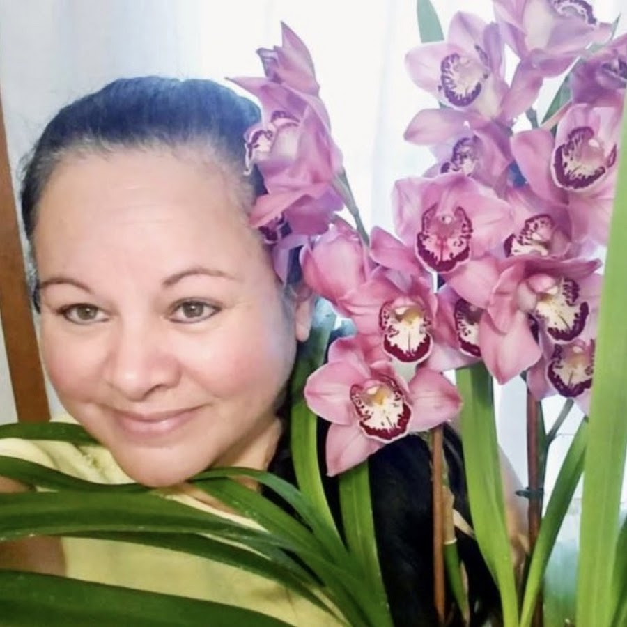 Orquideas en el mundo/ Orchids in the world