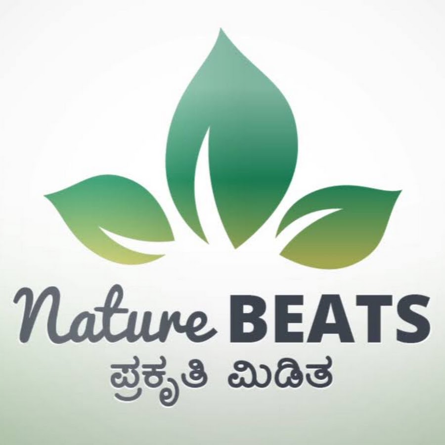 Health Tips Kannada YouTube channel avatar