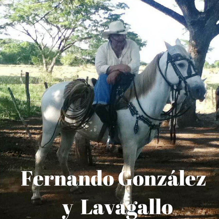 Fernando GonzÃ¡lez YouTube channel avatar