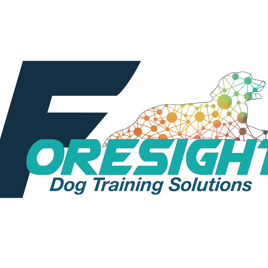 Sensate Dog Training YouTube channel avatar