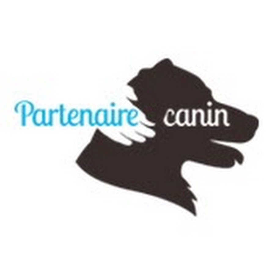 Partenaire Canin Avatar canale YouTube 