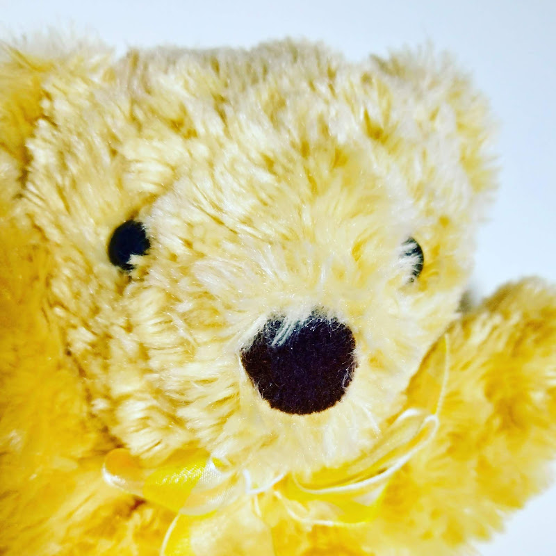 くまーませんせいCH - 網紅的藏寶箱 