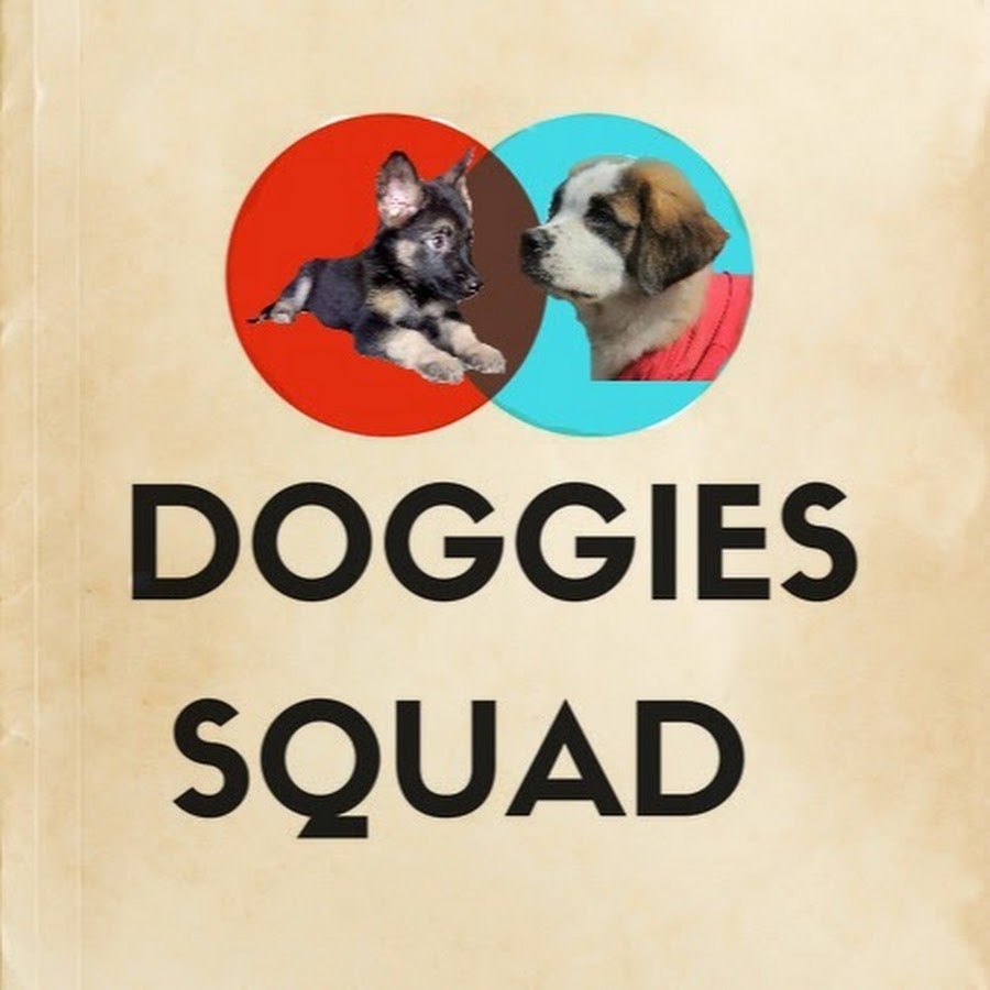 Doggies Squad- Dog training ইউটিউব চ্যানেল অ্যাভাটার