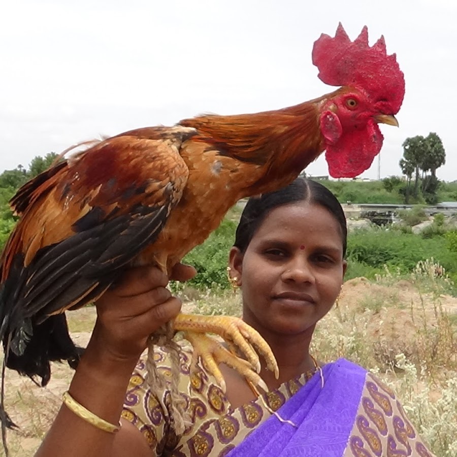 My Country Foods यूट्यूब चैनल अवतार