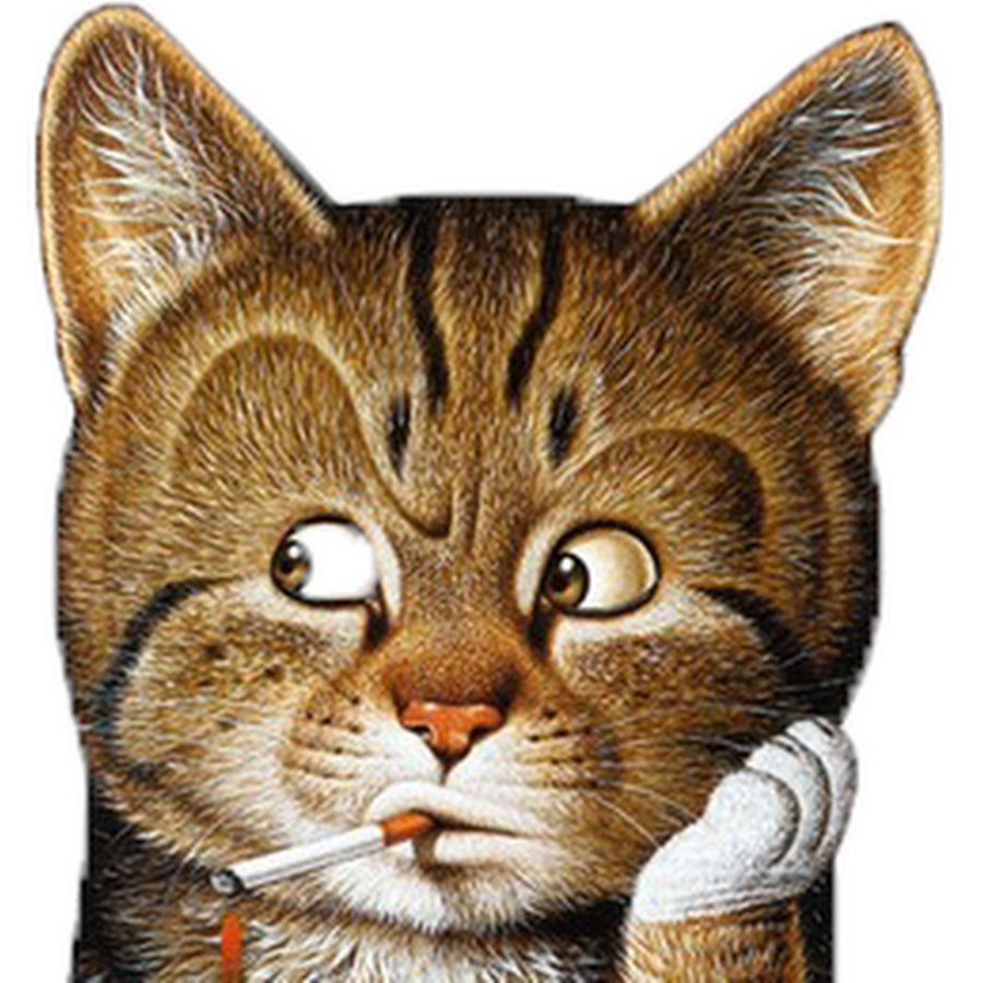 Кот курит. Анимированные котики. Кот с сигарой. Кот с сигарой рисунок