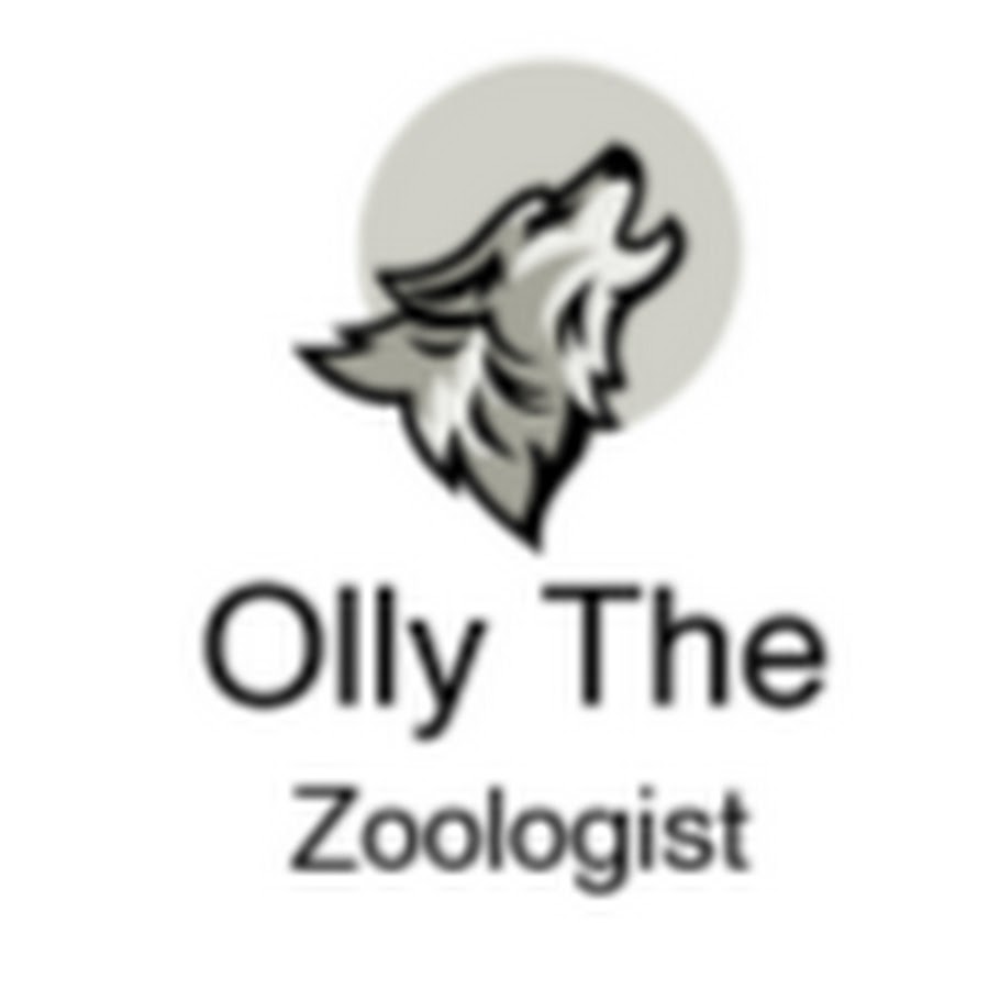 Olly The Zoologist رمز قناة اليوتيوب