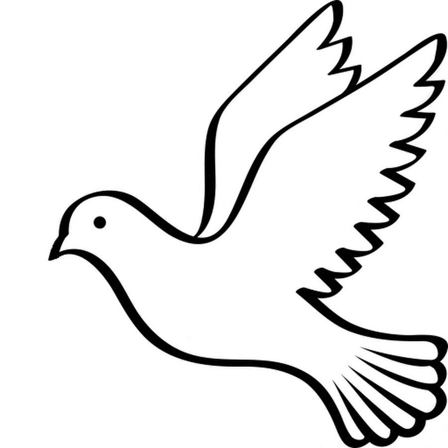 T Lc Nguyễn X Youtube