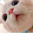 민채윤