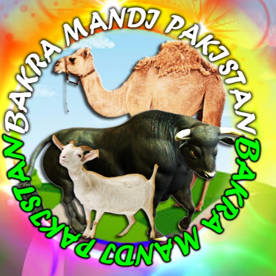 Bakra Mandi Pakistan