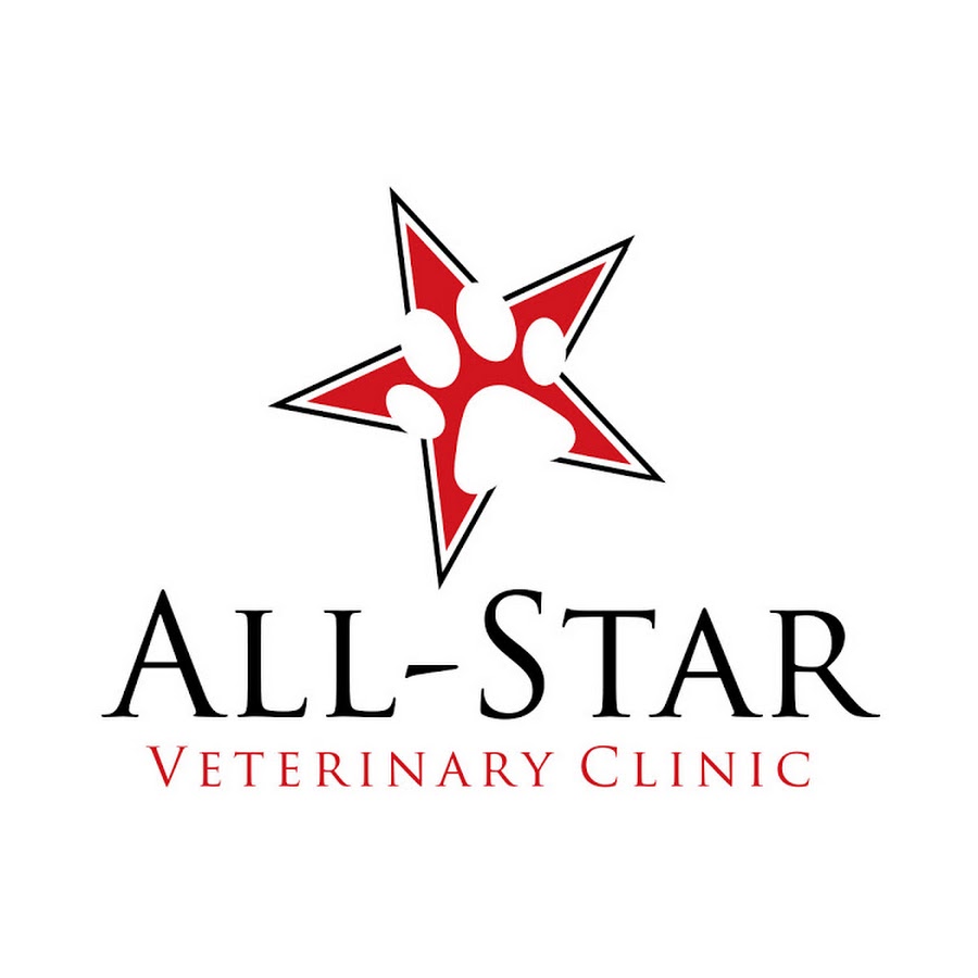 All-Star Veterinary Clinic Avatar de canal de YouTube