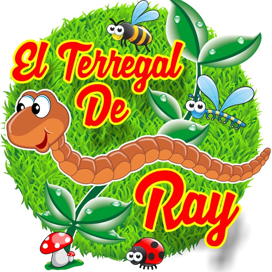 EL TERREGAL DE RAY رمز قناة اليوتيوب