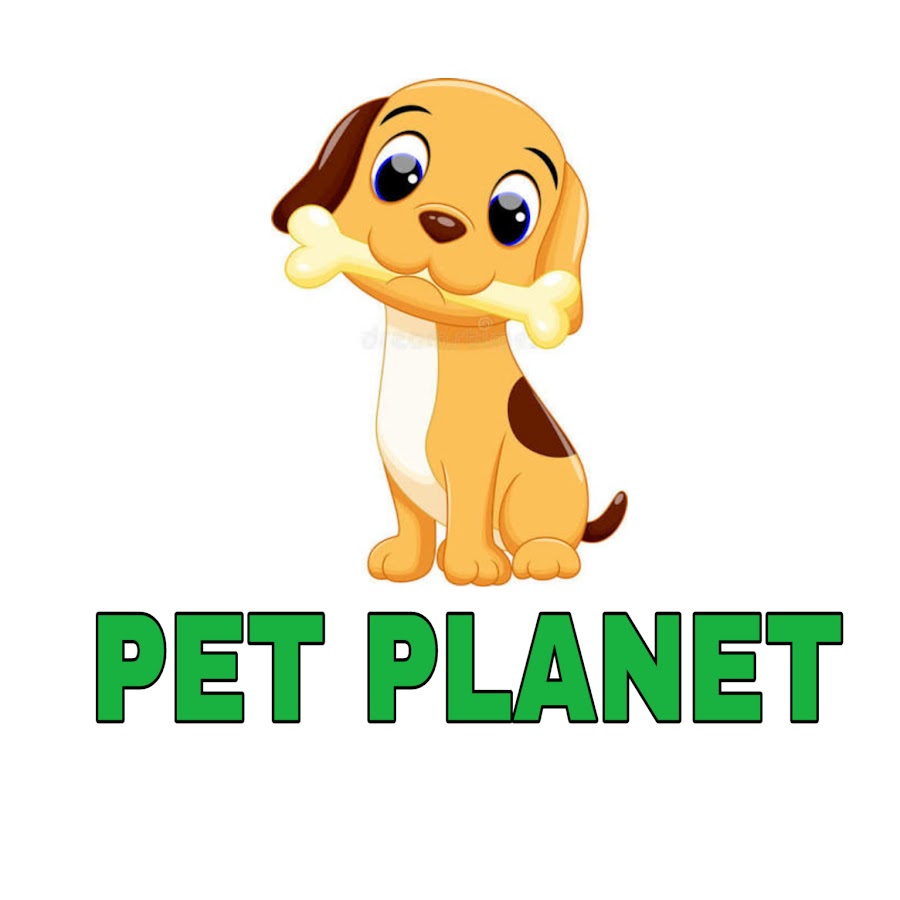 Pet Planet YouTube 频道头像