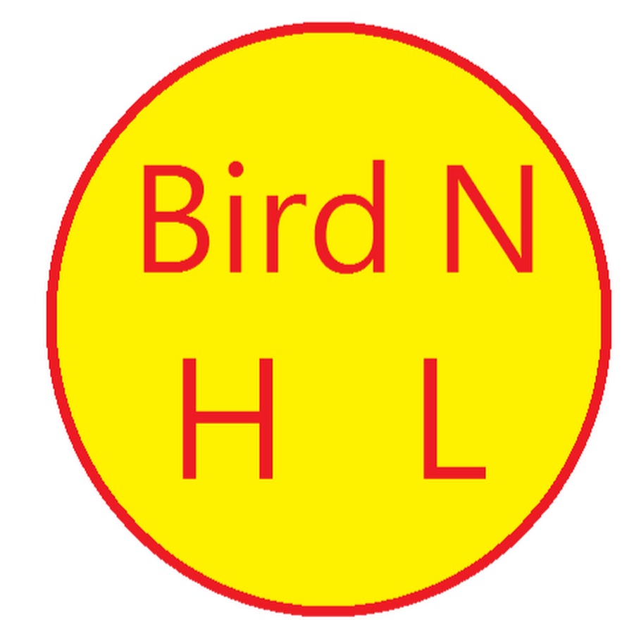 Bird N highlight ইউটিউব চ্যানেল অ্যাভাটার