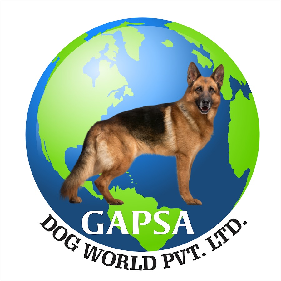 Gapsa Dog World
