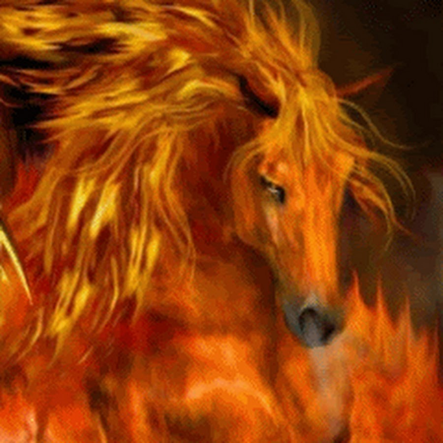 Конь-огонь / магазины на мототематику на сайте MOTO.fm