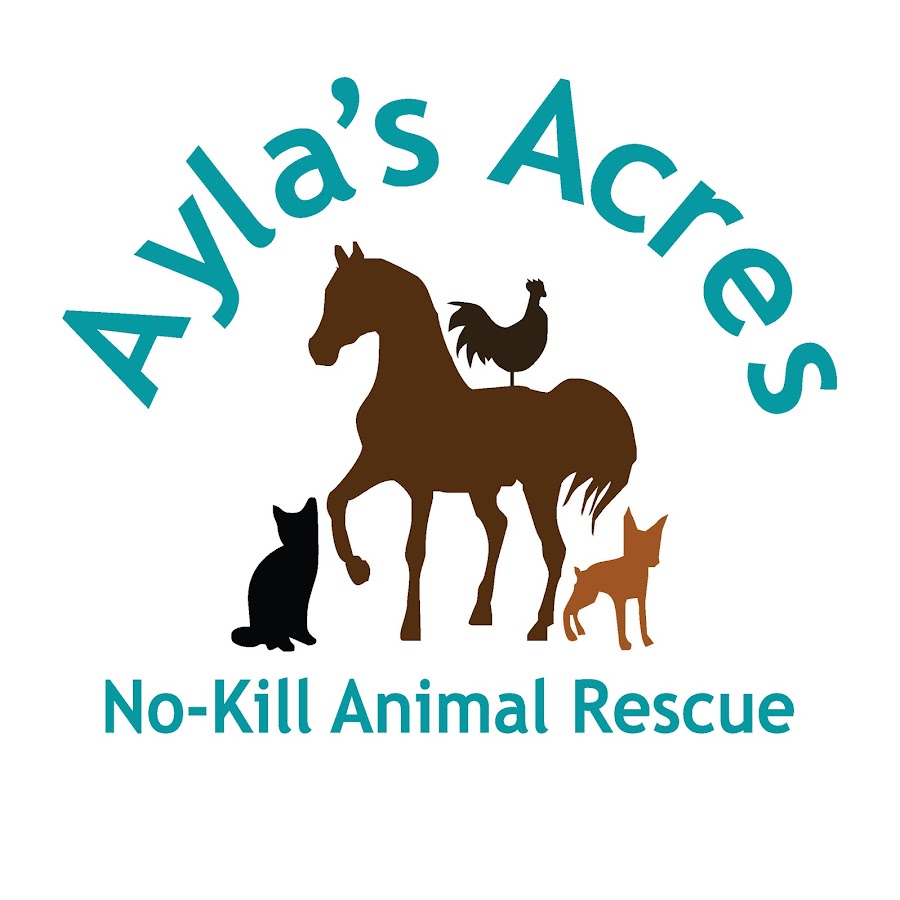 Ayla's Acres No-Kill Animal Rescue YouTube channel avatar