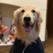 矢野正明 Youtube