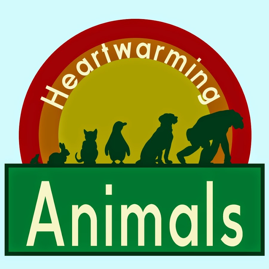 Heartwarming Animals ইউটিউব চ্যানেল অ্যাভাটার