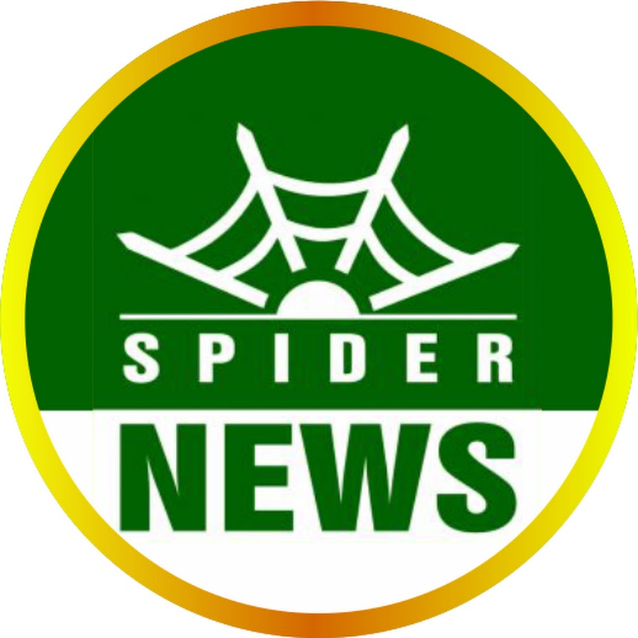 Spider News