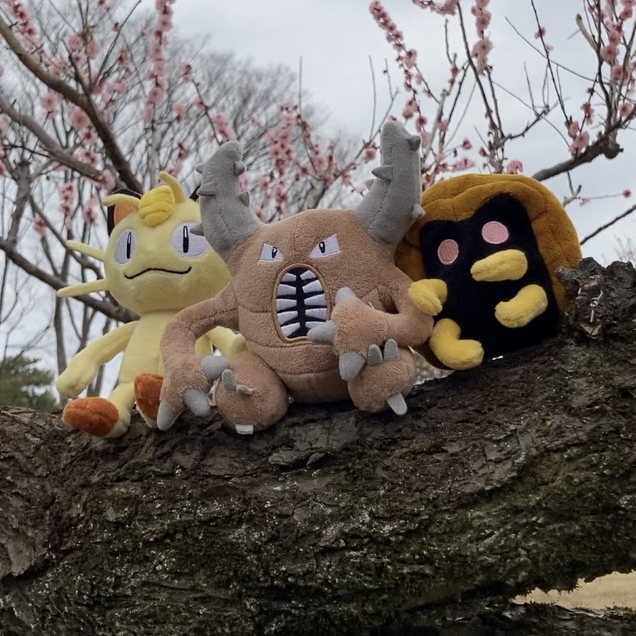 ポケモンカイロスtv Pokemon Pinsir S Program Youtube