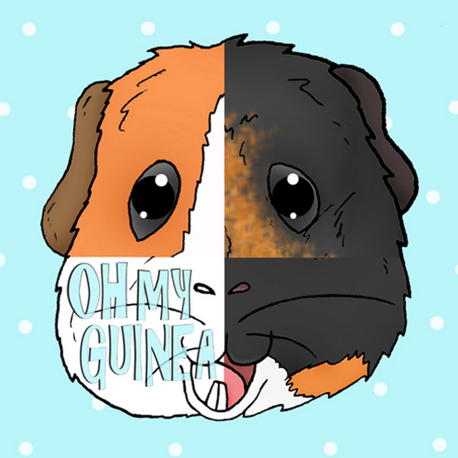 oh my guinea YouTube channel avatar