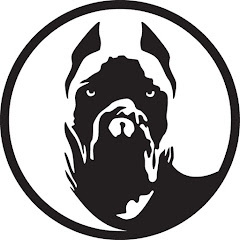 Thumbnail of related channel