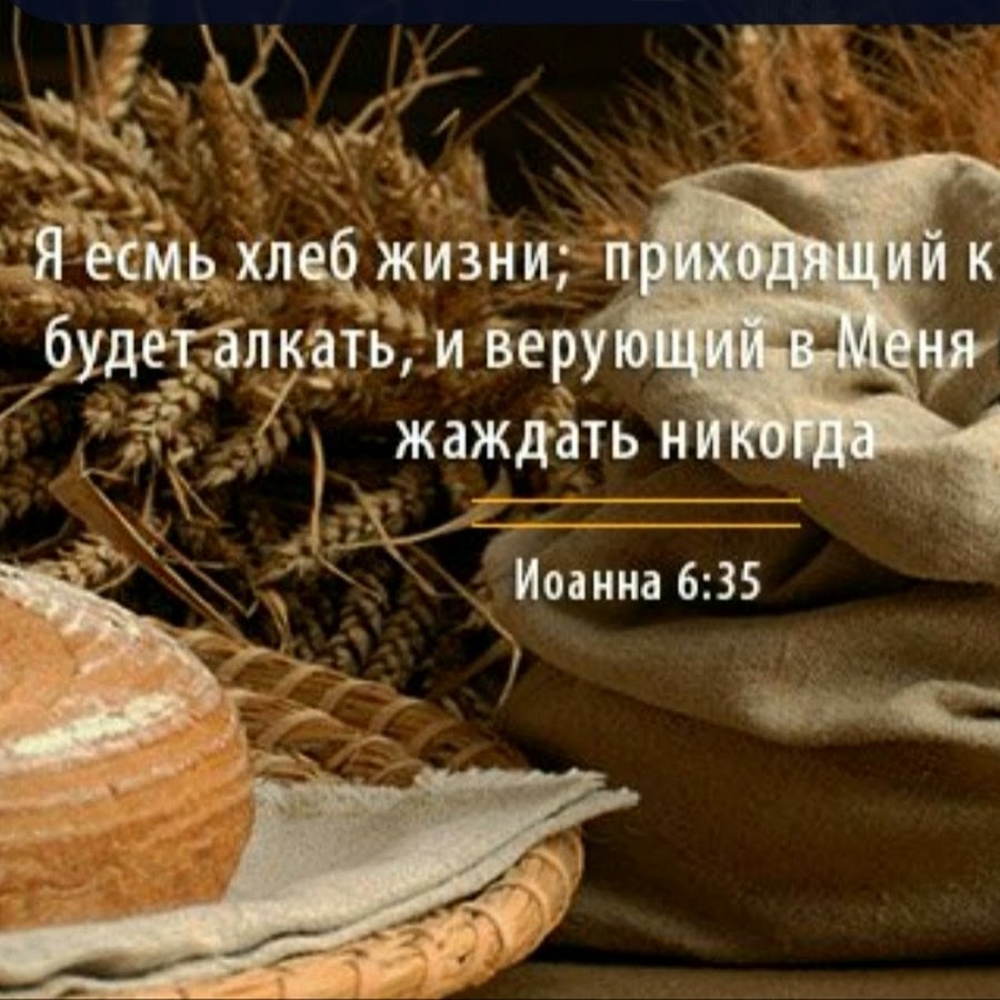 Хлеб друг слова. Я есмь хлеб жизни. Библия хлеб жизни. Господь хлеб жизни. Иисус Христос хлеб жизни.