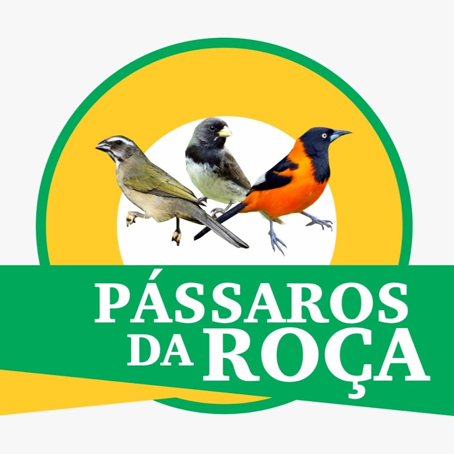 PÃ¡ssaros da RoÃ§a YouTube kanalı avatarı