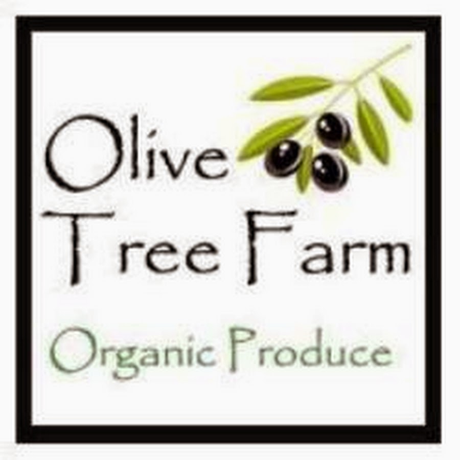 Olive Tree Farm YouTube channel avatar