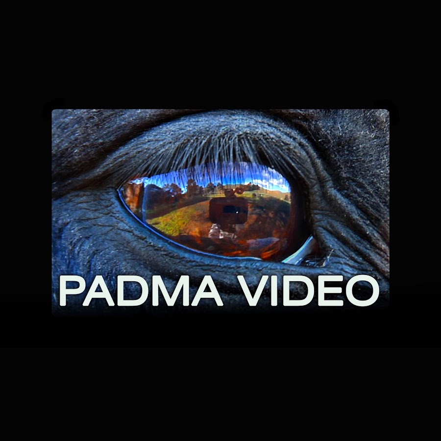 Padmavideo YouTube channel avatar